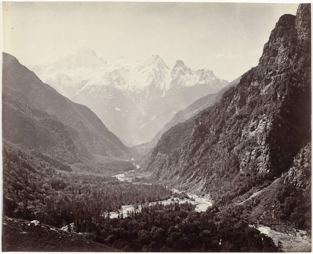 Wooded Valley from Fulaldaru, with the Srikanta Peaks in the Distance by Samuel Bourne (signed by artist)
