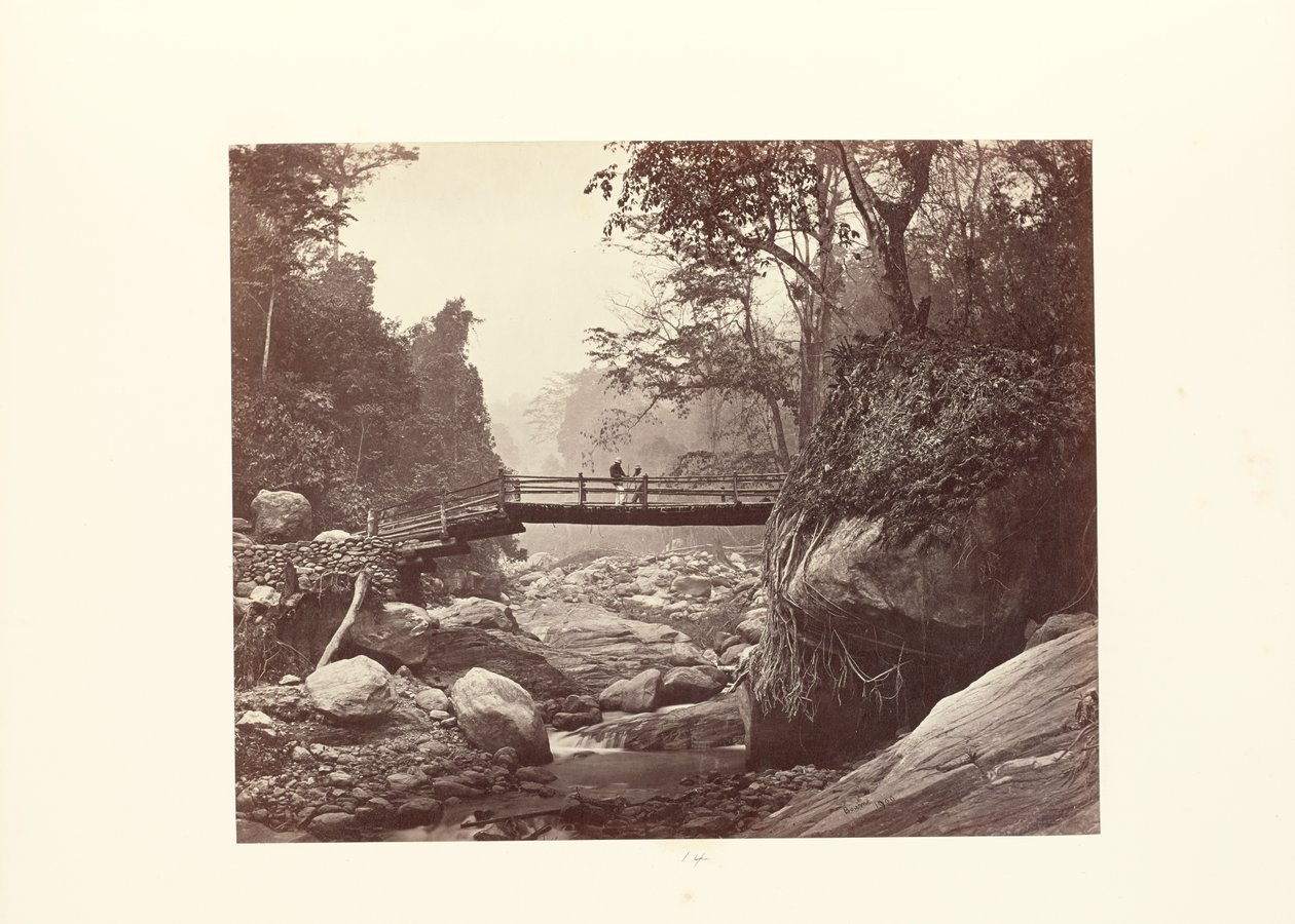 Darjeeling; Picturesque Bridge over the Rungnoo below Ging by Samuel Bourne