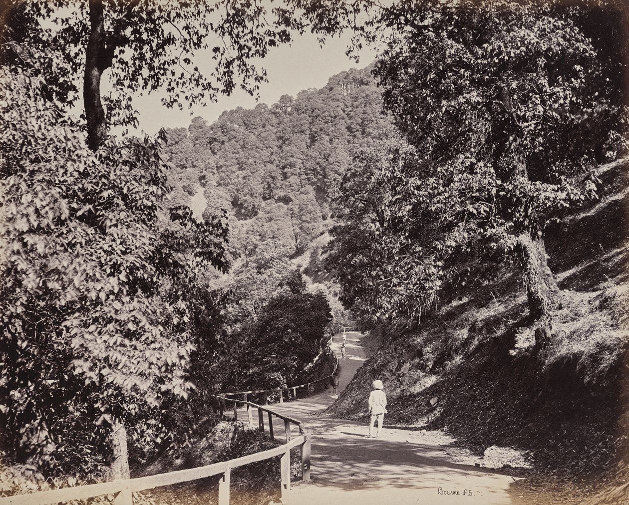 Shimla. The Mall near Rabq Lodge by Samuel Bourne