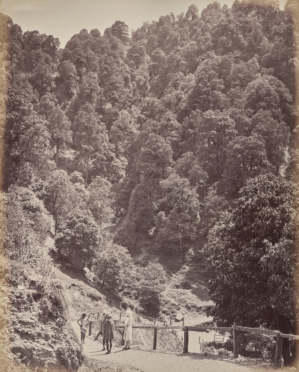 Shimla. View North of Mount Jakko by Samuel Bourne