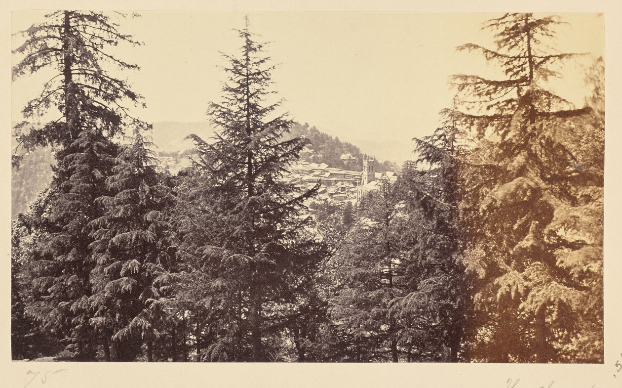 Simla; The Church through the Trees, from Jakko by Samuel Bourne