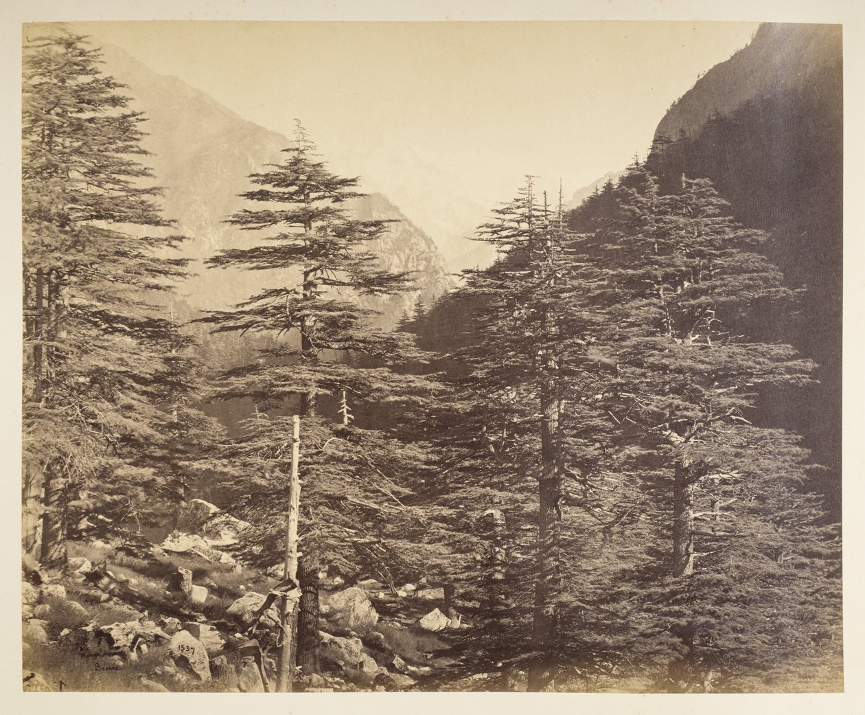 Snowy Peaks near Gangotri from Bhaironghati by Samuel Bourne