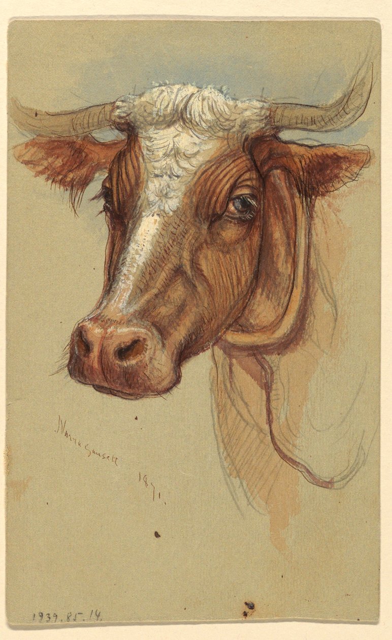 Sketches from Narragansett, Rhode Island, 1871 by Samuel Colman