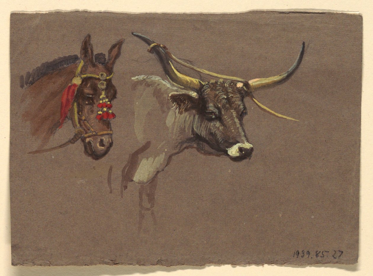 Head of a Mule with a Bridle, Head of a Buffalo or Ox by Samuel Colman