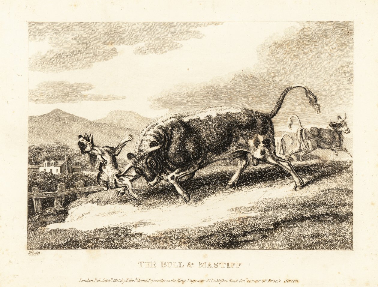 A bull gores a dog to death in a field by Samuel Howitt