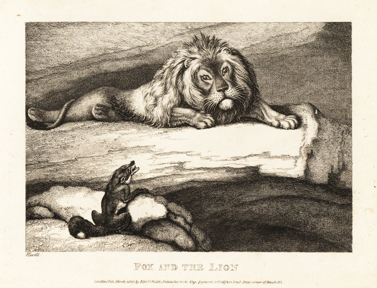 A fox foolishly approaching a male lion in his den by Samuel Howitt
