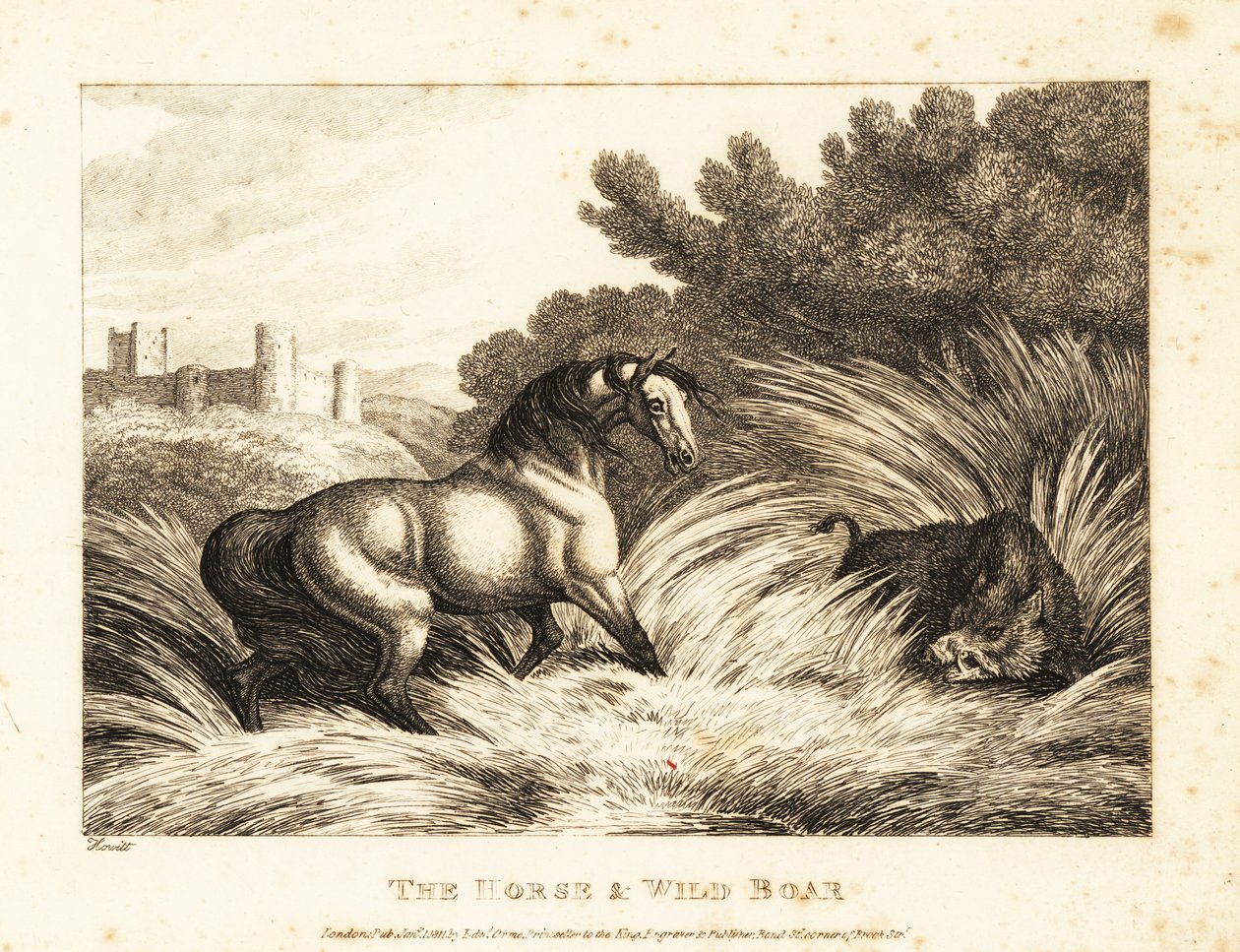 A horse and wild boar face off in a pasture by Samuel Howitt
