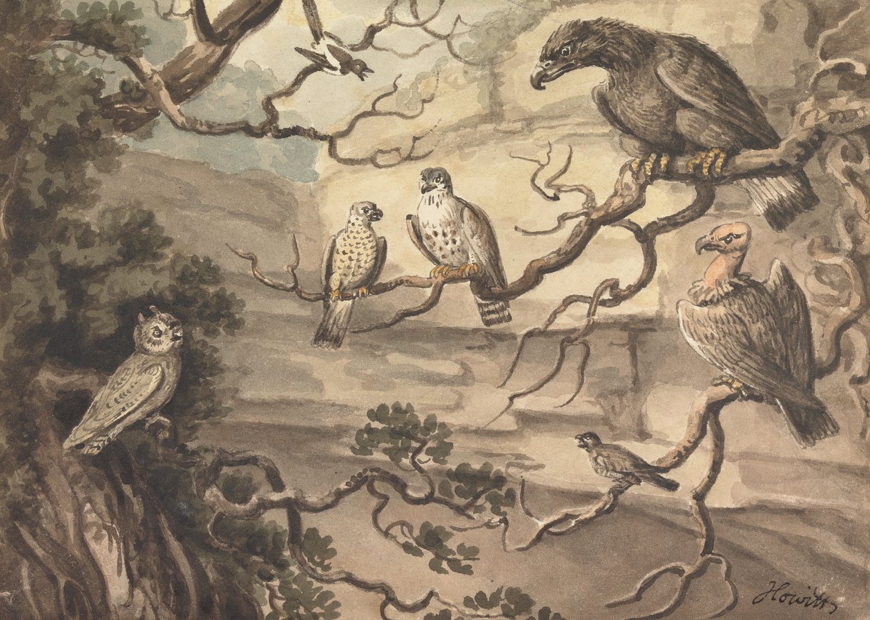An Owl, an Eagle, Two Falcons, a Vulture and Other Birds Perched in Trees by Samuel Howitt