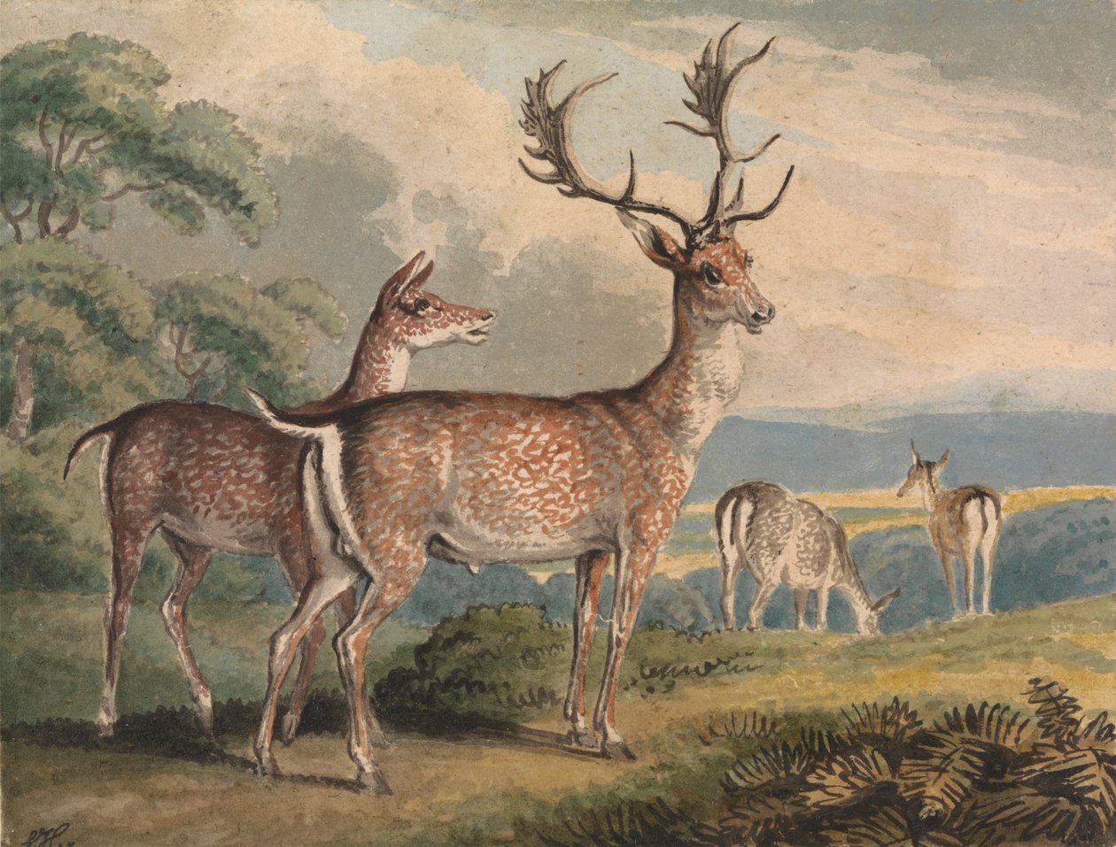 Stag, Doe and Fawns by Samuel Howitt