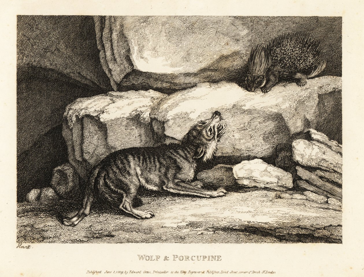 The Wolf and the Porcupine by Roger L