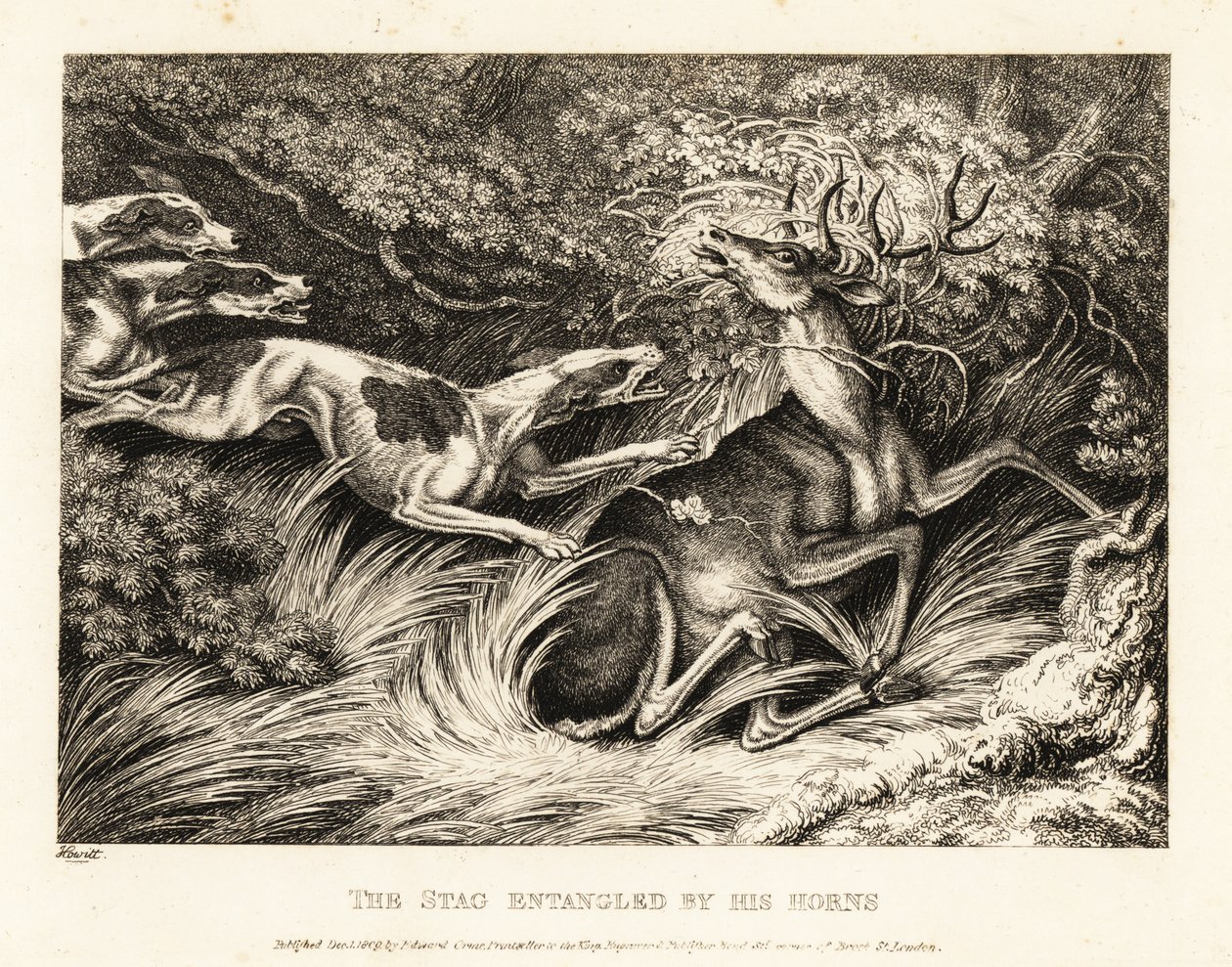 Three Hounds Attack a Stag Caught by Its Antlers by Samuel Howitt