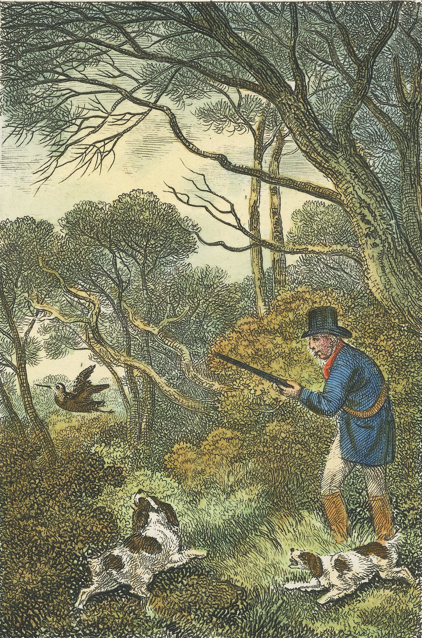 Woodcock Shooting, 1819 by Samuel Howitt