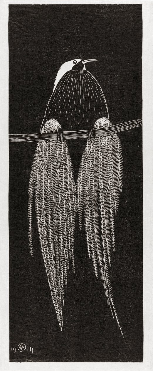 Bird of Paradise by Samuel Jessurun de Mesquita