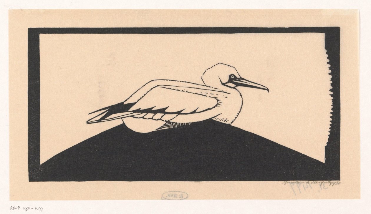 Northern Gannet by Samuel Jessurun de Mesquita