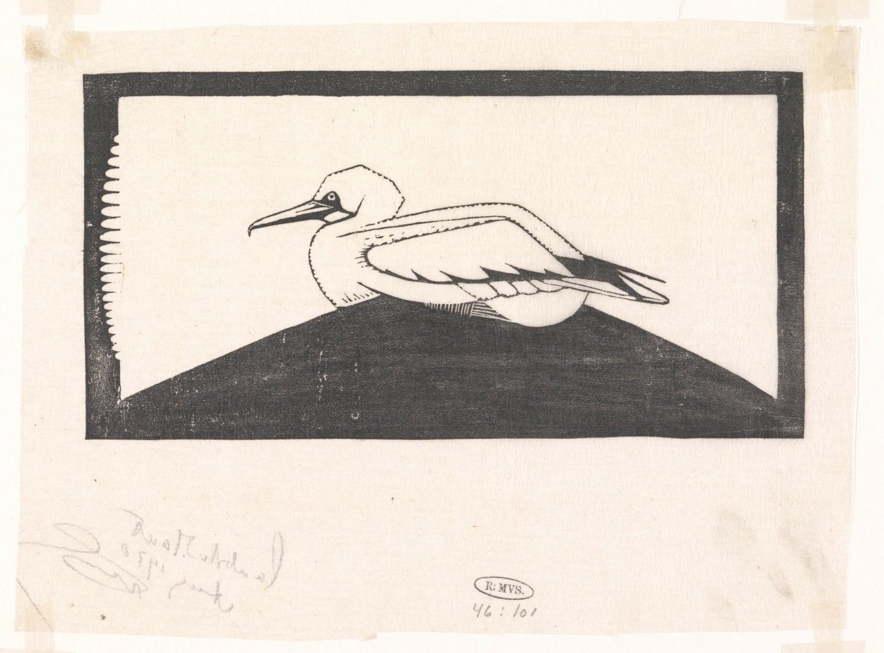 Northern Gannet by Samuel Jessurun de Mesquita
