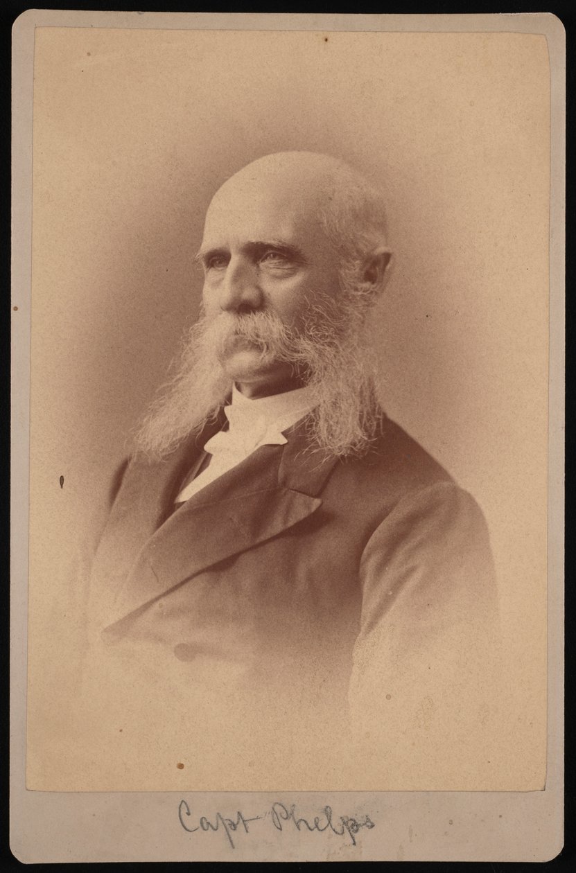 Portrait of Seth Ledyard Phelps 1824-1885, 1878 by Samuel Montague Fassett
