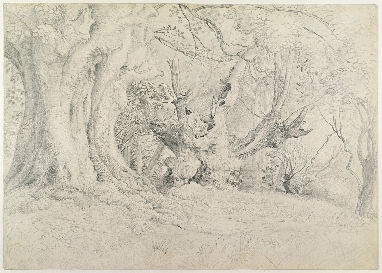 Ancient Trees, Lullingstone Park, 1828 by Samuel Palmer