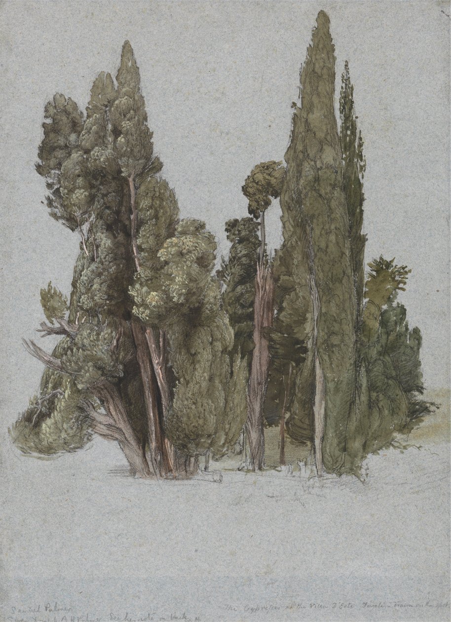The Cypresses at the Villa d