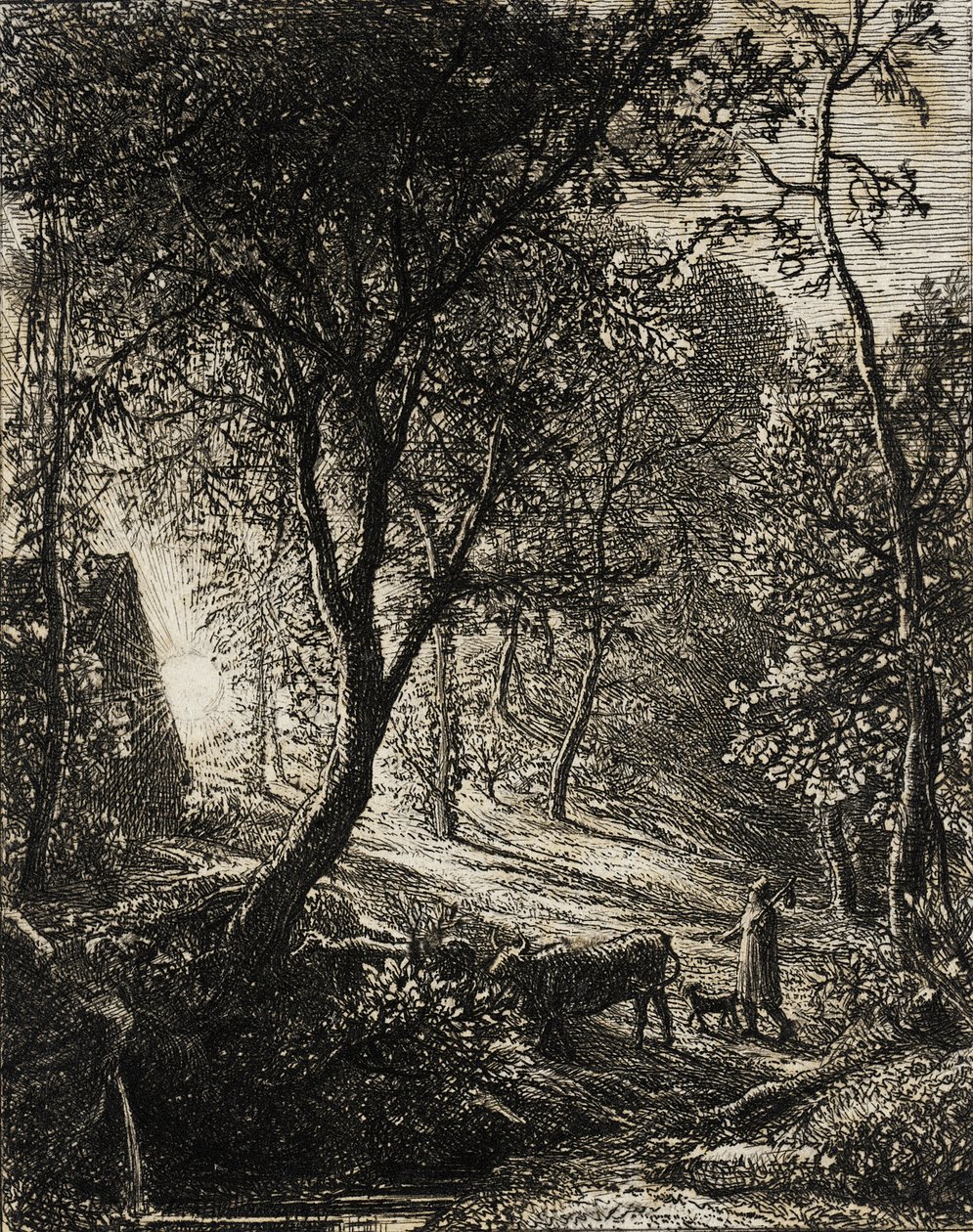 The Herdsman