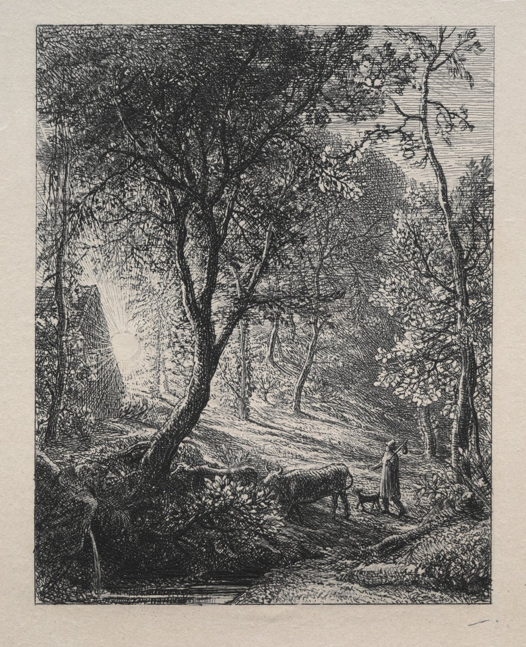 The Herdsman