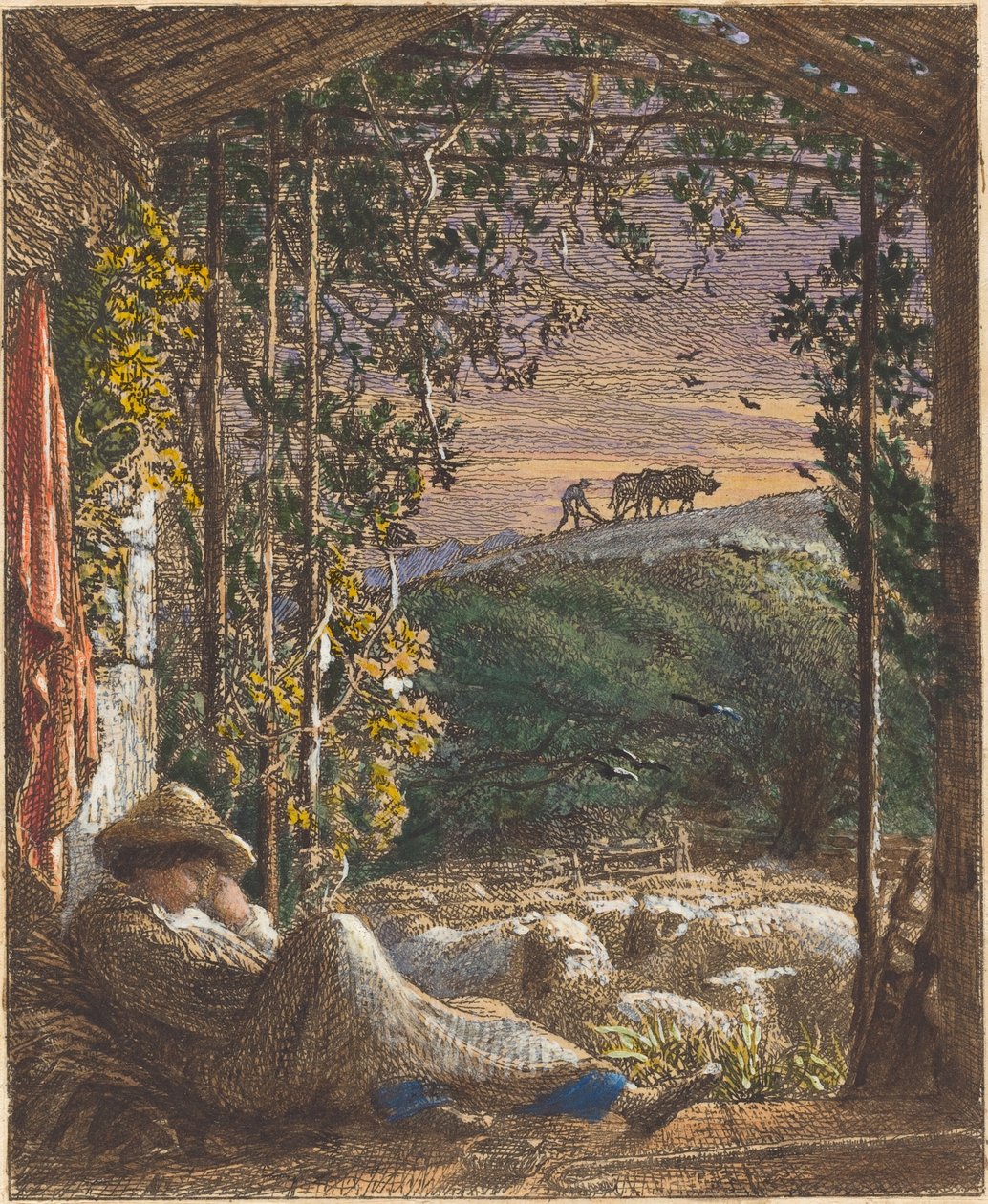 The Sleeping Shepherd; Early Morning by Samuel Palmer