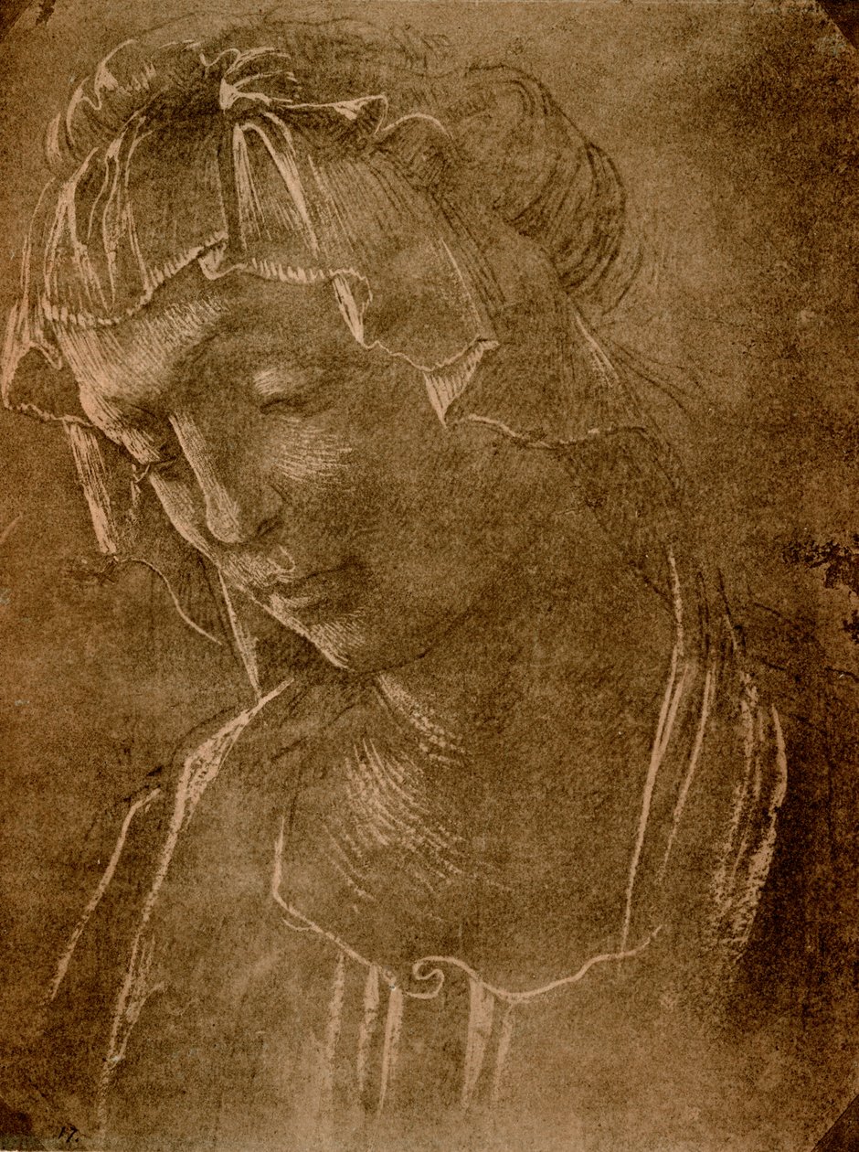 Female Head by Sandro Botticelli