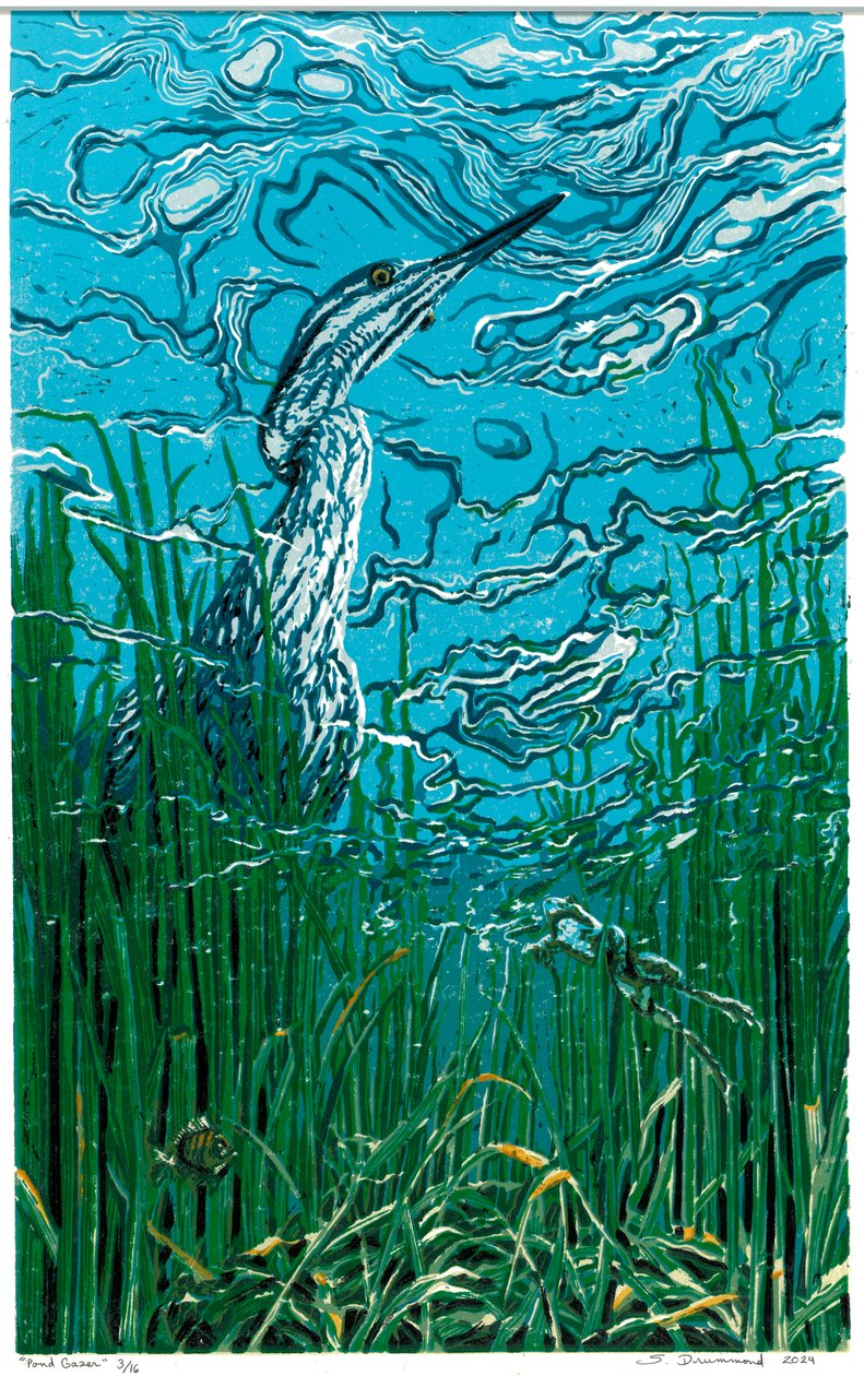 Pond Gazer by Sarah Drummond