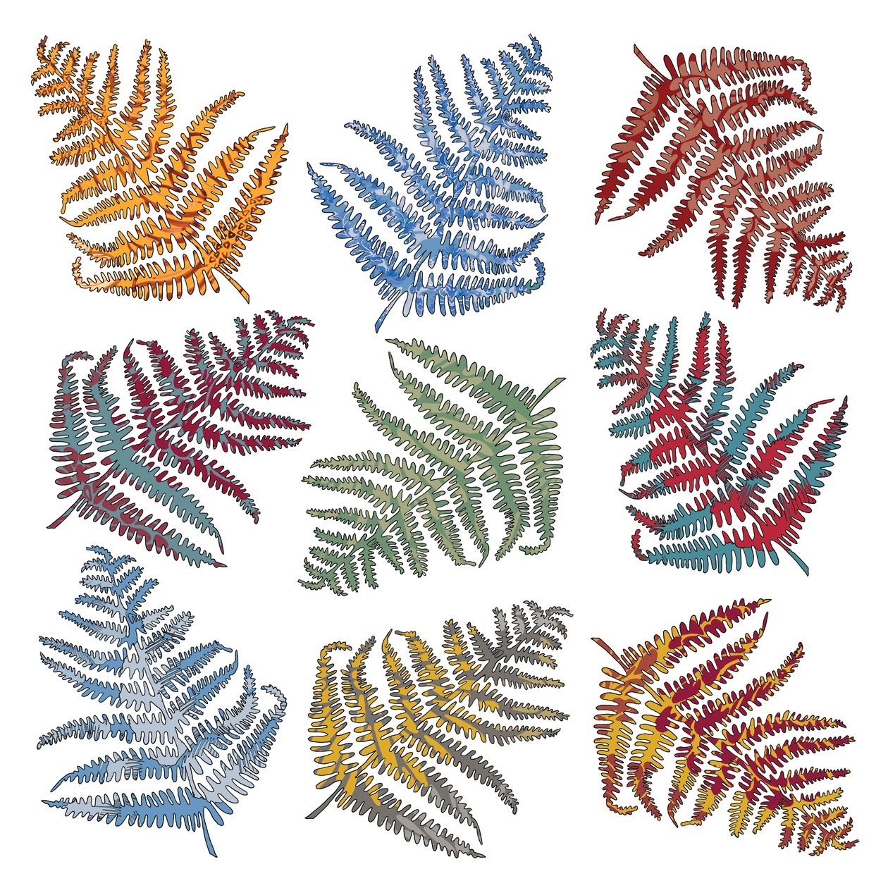 Ferns, 2012 by Sarah Hough