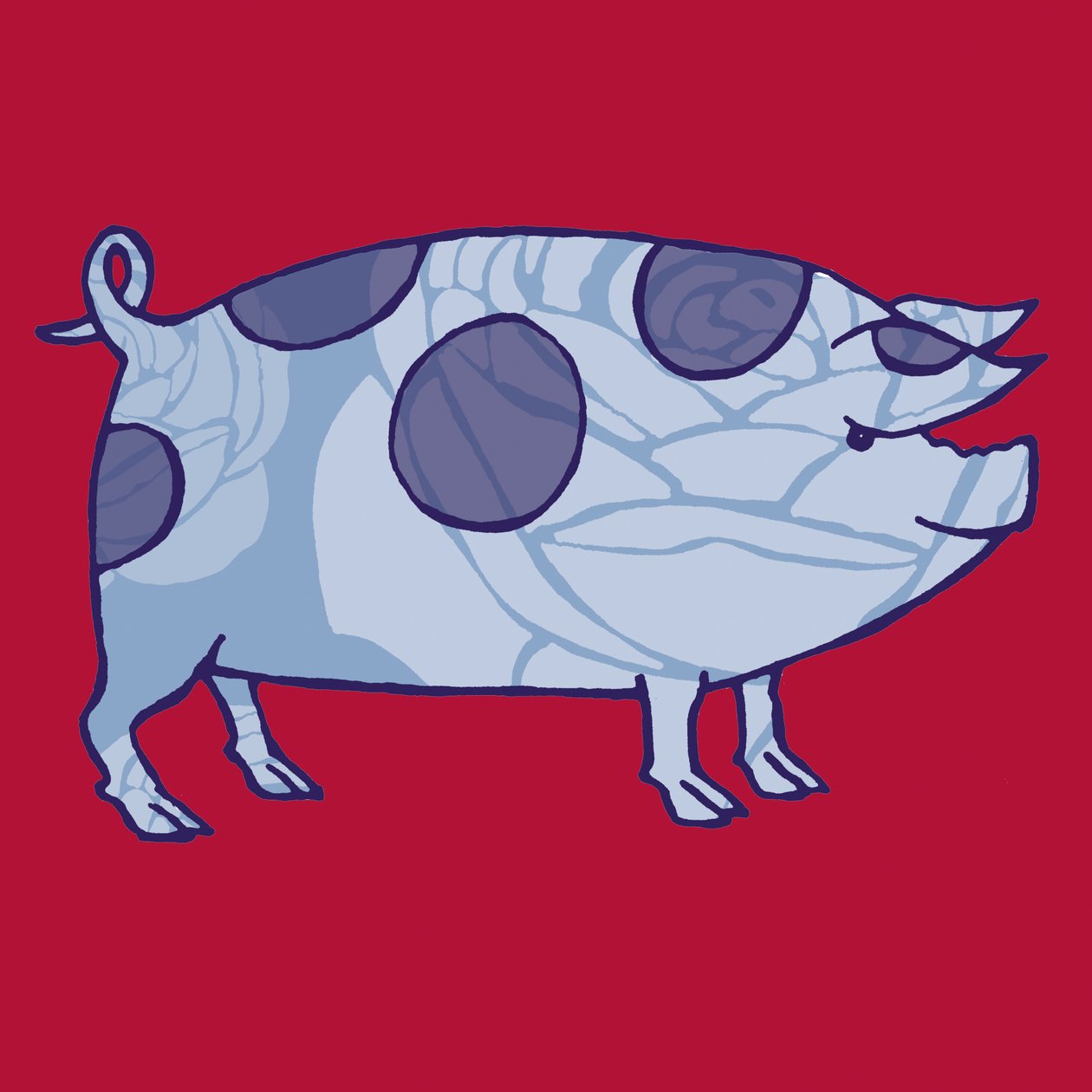 Piddle Valley Pig by Sarah Hough