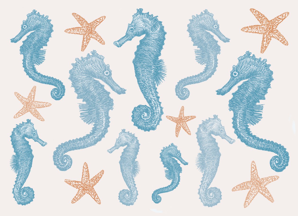 Seahorses and Starfish, 2017 by Sarah Hough