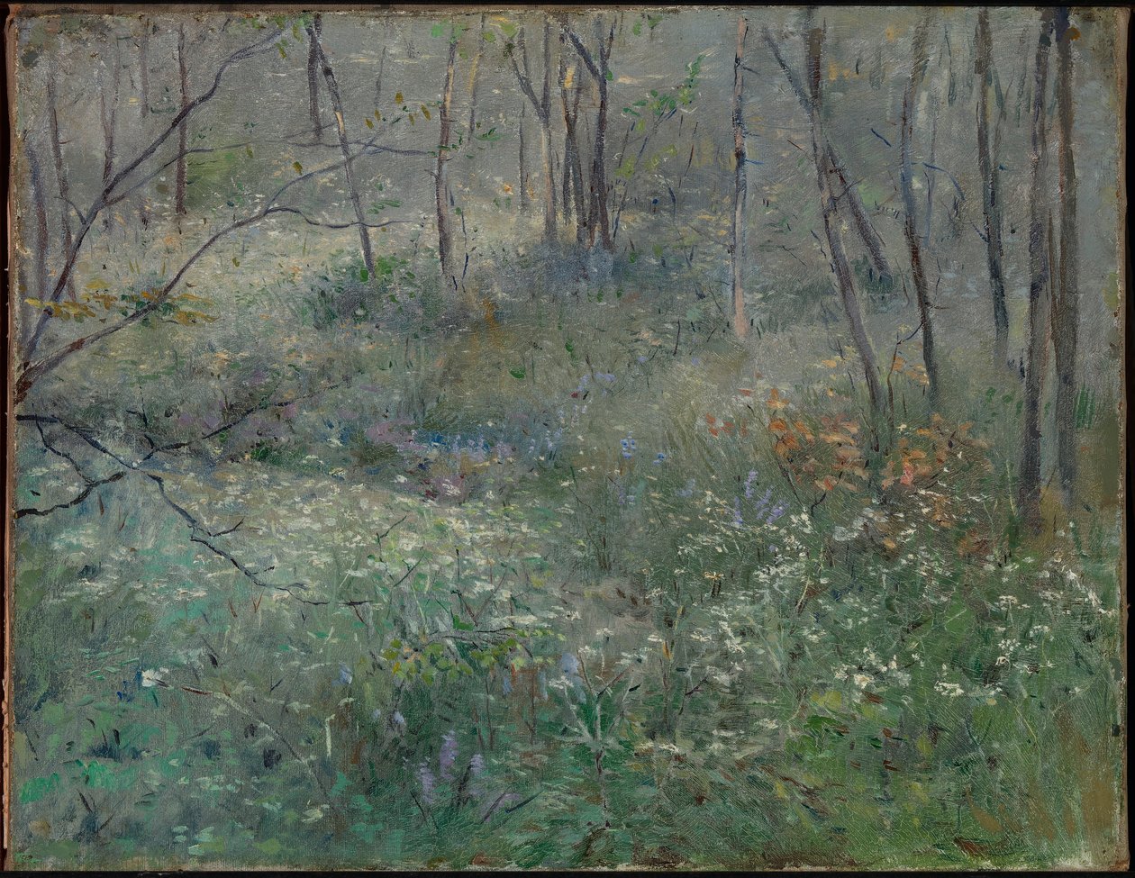 Wild Parsley by Sarah Paxton Ball Dodson