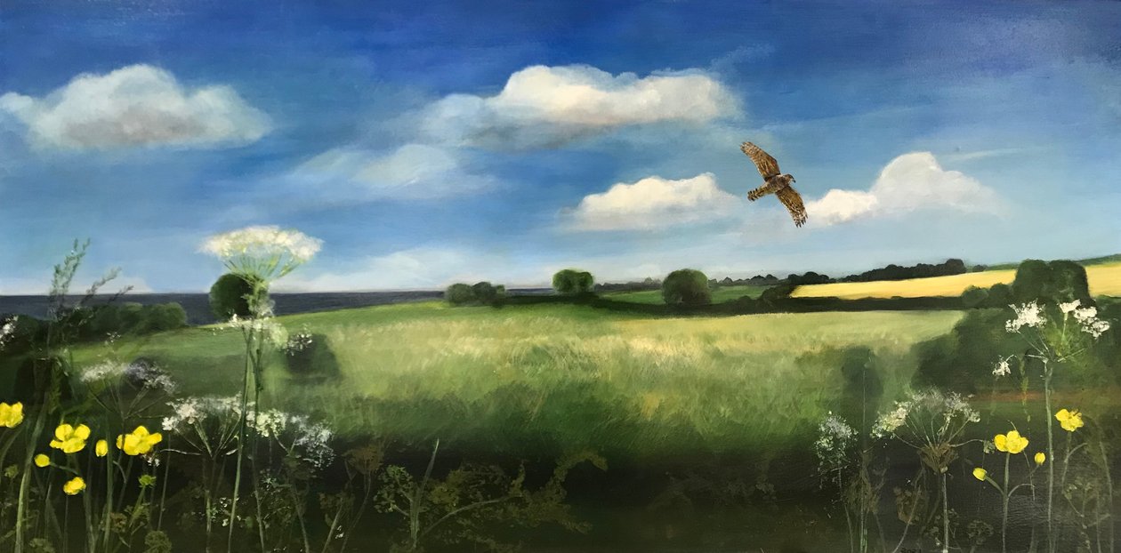 Buzzard by Sarah Thompson Engels