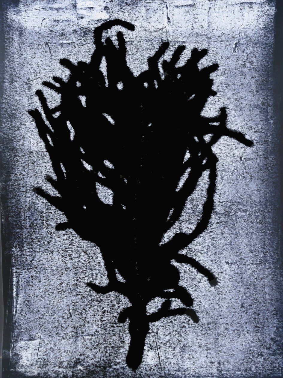 Black Fern by Sarah Thompson Engels