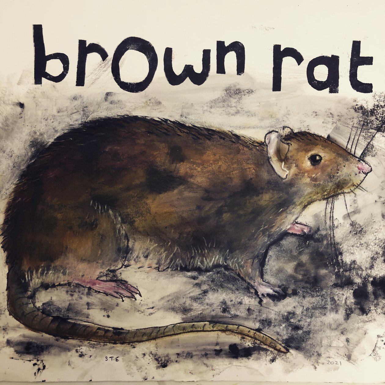 Brown Rat, 2021 by Sarah Thompson Engels