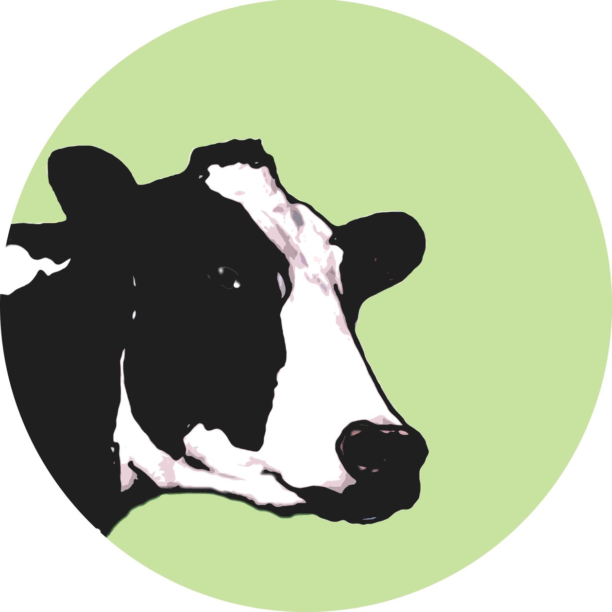 Cow by Sarah Thompson Engels