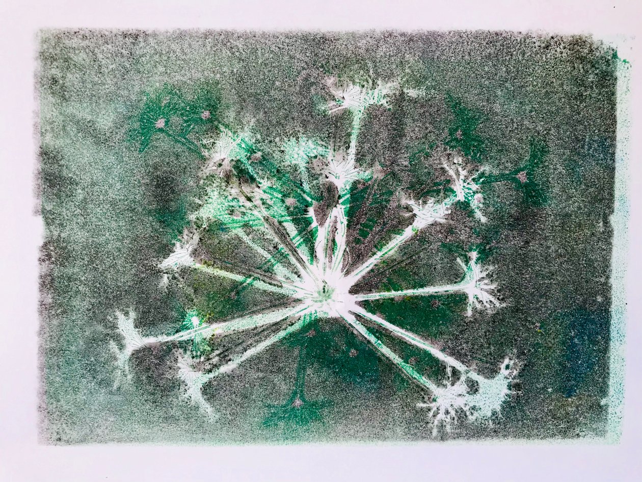 Seedhead I, 2020 by Sarah Thompson Engels