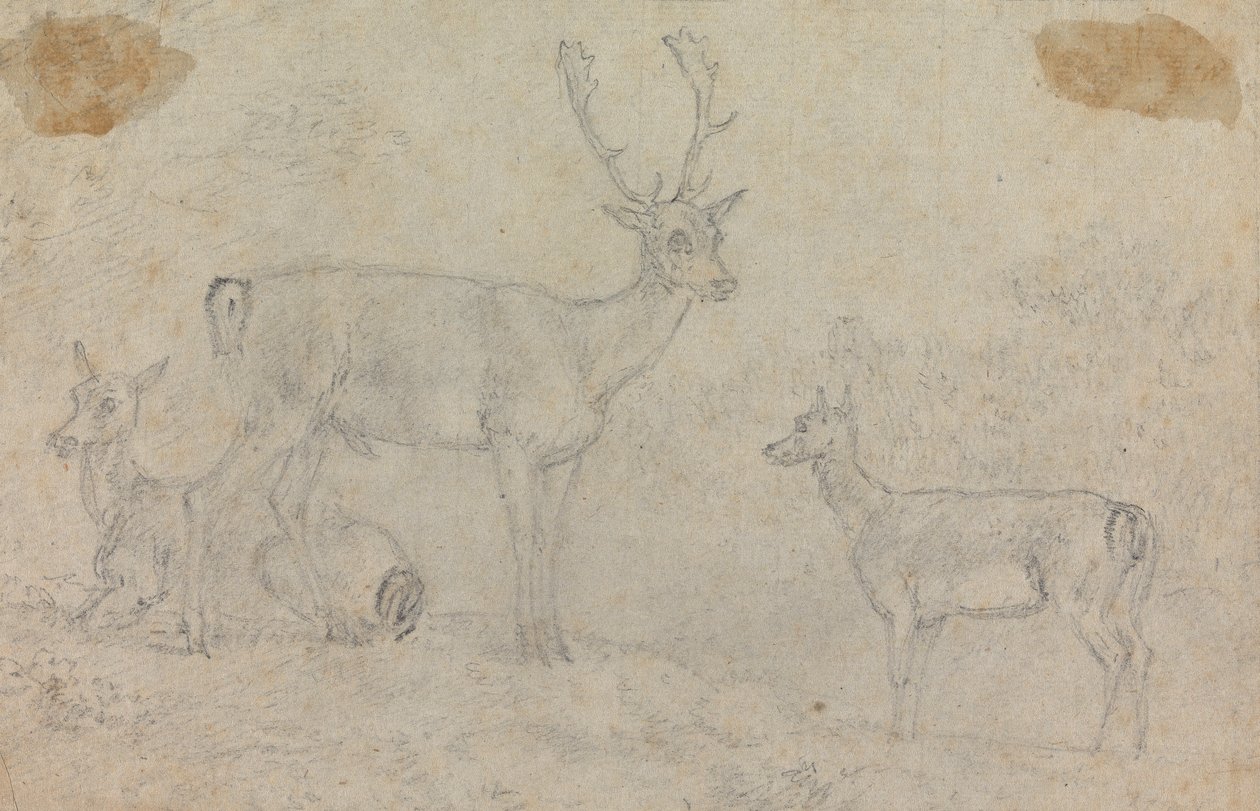 A Buck and Two Deer by Sawrey Gilpin