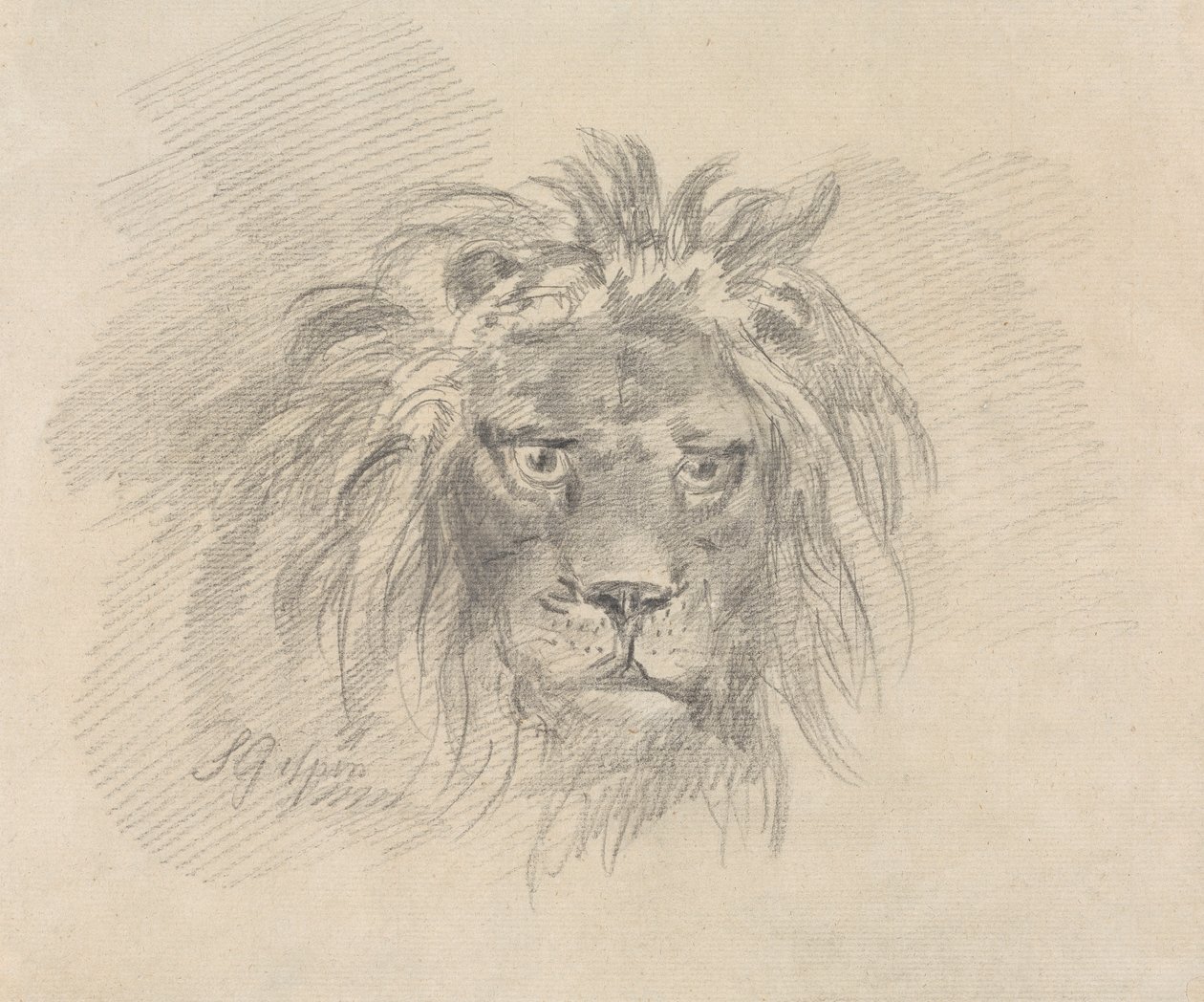 Head of a Lion by Sawrey Gilpin