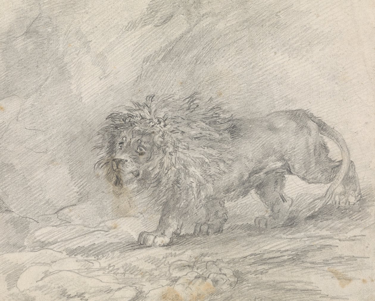 Lion Walking in Rocky Landscape by Sawrey Gilpin