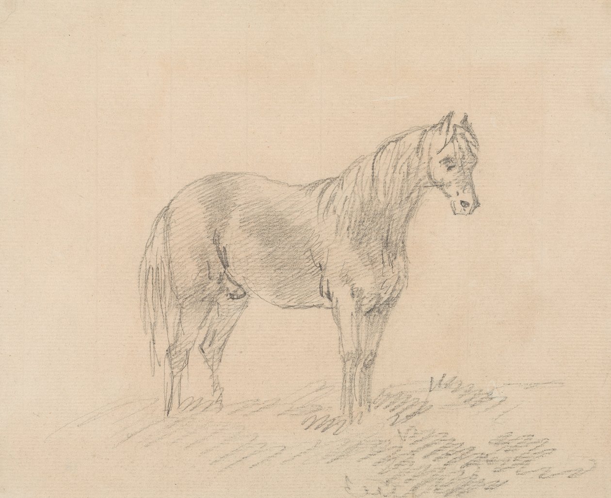 Male Horse by Sawrey Gilpin