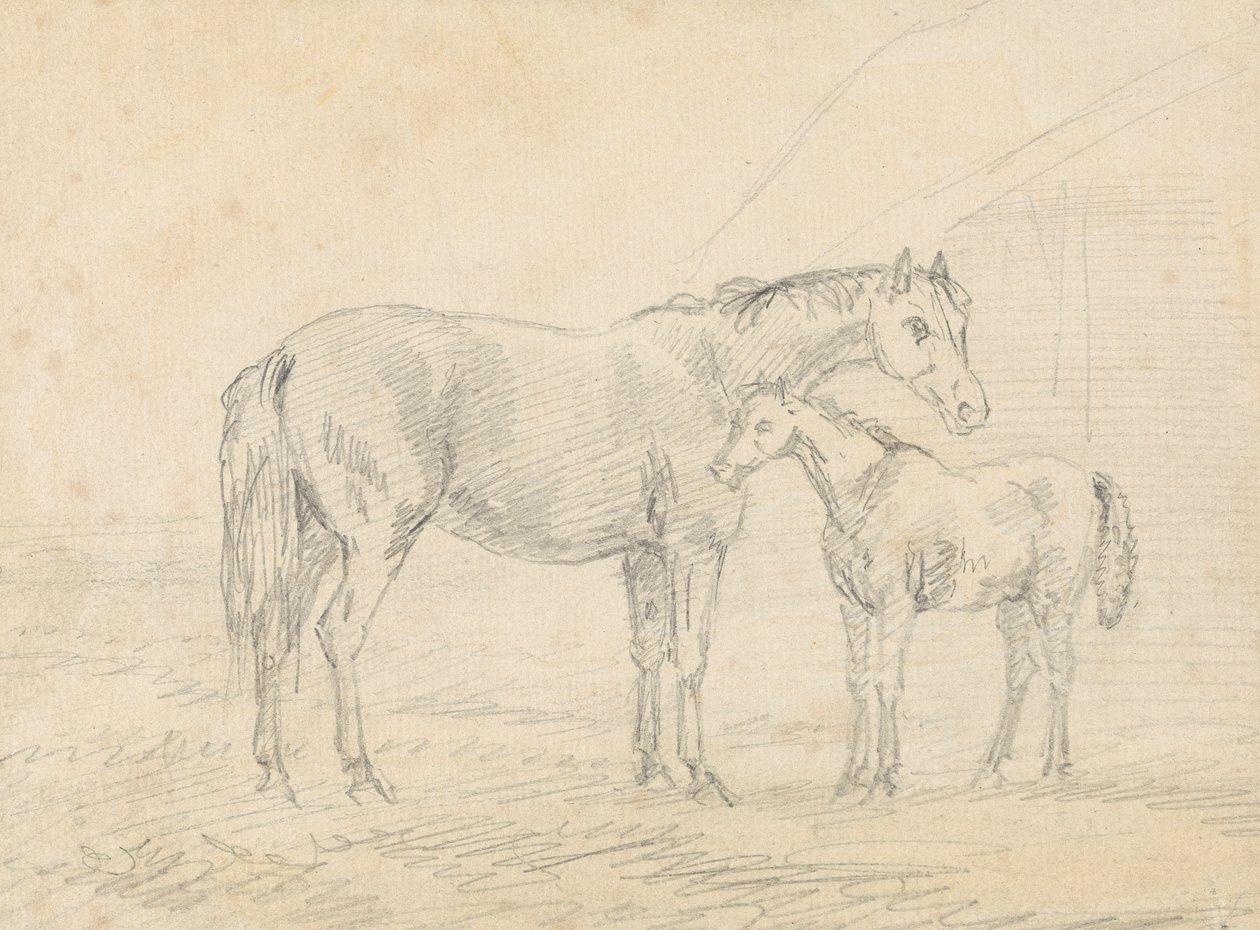 Mare with Foal by Sawrey Gilpin