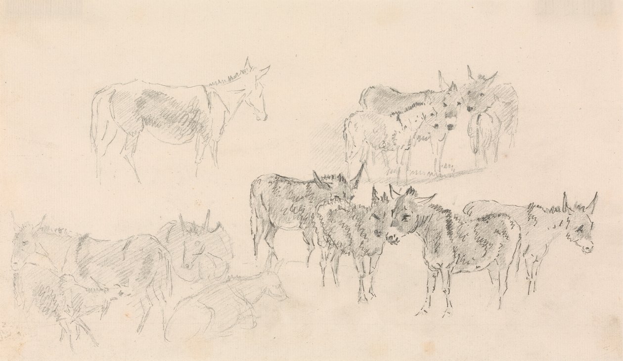 Studies of Donkeys by Sawrey Gilpin