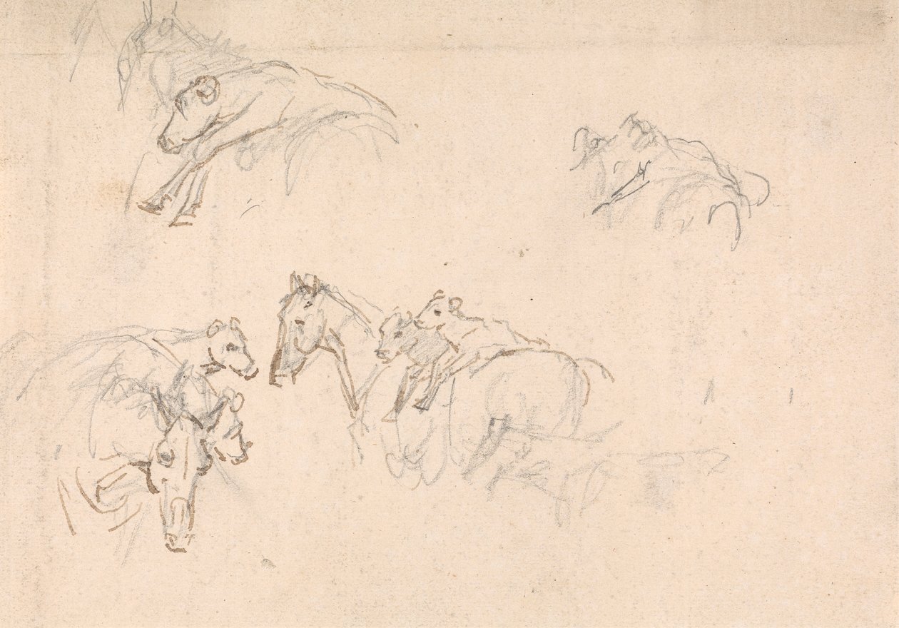 Study of Horses Carrying Calves on their Backs by Sawrey Gilpin