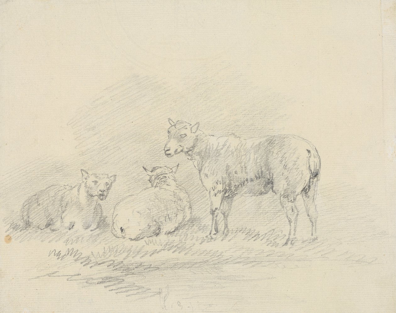 Three Sheep by Sawrey Gilpin
