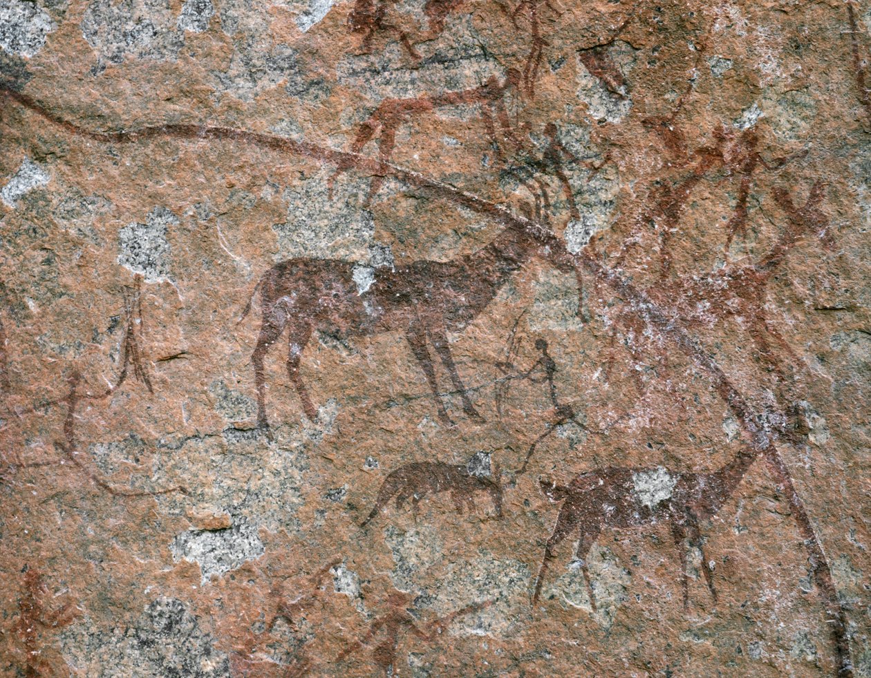 Rock Painting at Ngomo Carera in the Domboshawa Range by School African