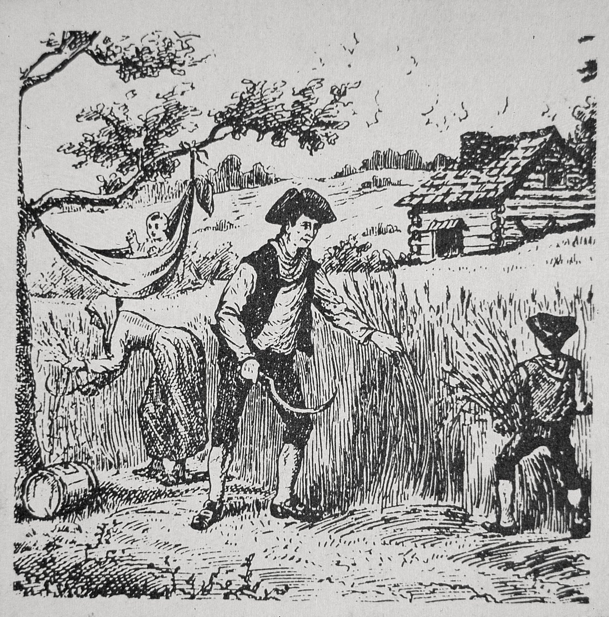 A family harvesting corn by School American