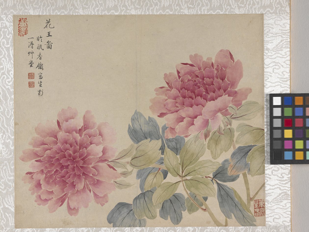 8 Leaf Album of Flowers, mid 1700s by School Chinese