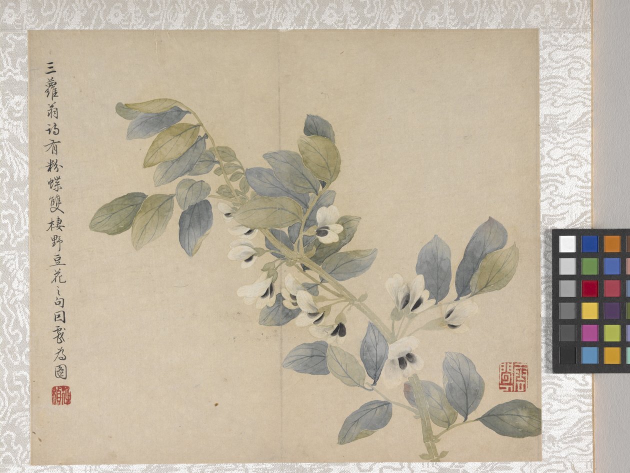 8 Leaf Album Of Flowers by School Chinese