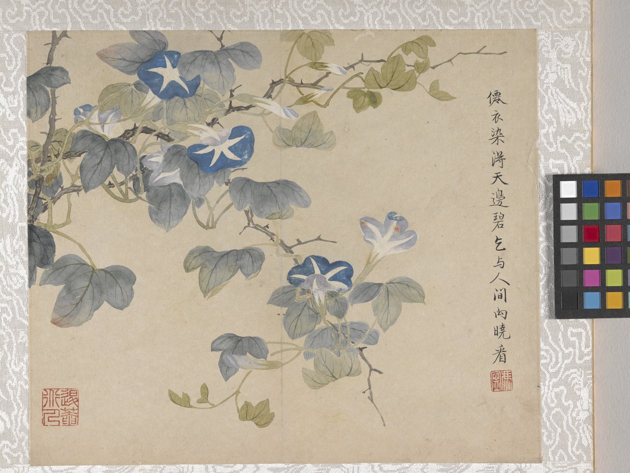 8 Leaf Album of Flowers by School Chinese