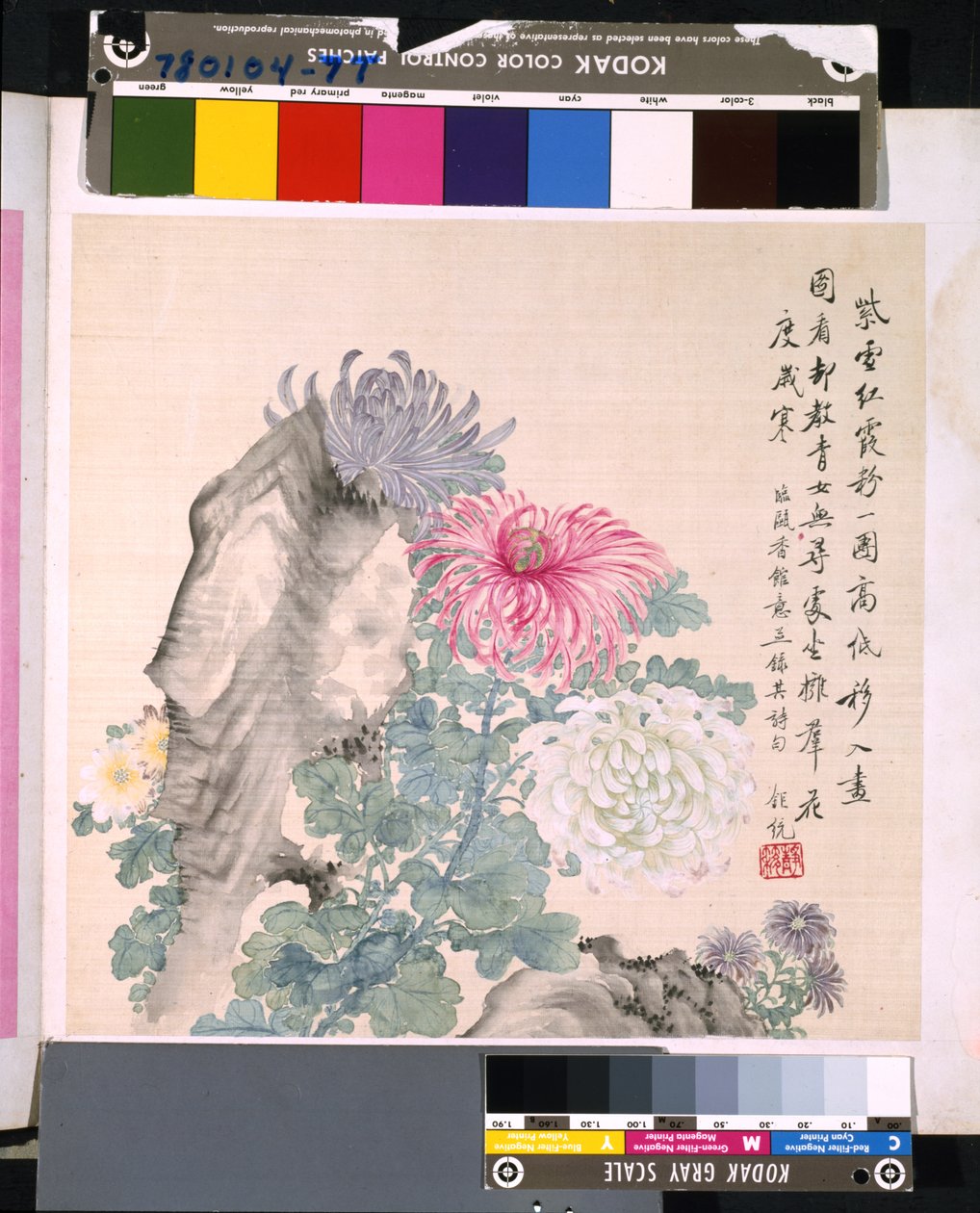 Album of Flowers and Birds by School Chinese